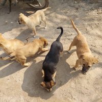 Trivedi9M (@trivedi9m) 's Twitter Profile