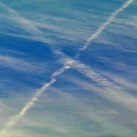 ๐์ ์ (@x1principle) 's Twitter Profile