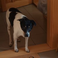 Ewa Sobczyk #Trzaskowski2025 (@franciszka47) 's Twitter Profile Photo