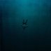 DeepFish (@whenfishwept) Twitter profile photo DeepFish (@whenfishwept) Twitter profile photo
