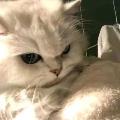 1HATEMATH7's profile picture.