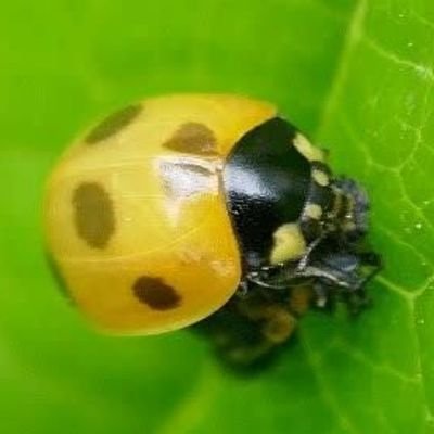 kini20230517's profile picture. 