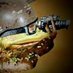 Pepe the Baker (@abitterbread) Twitter profile photo Pepe the Baker (@abitterbread) Twitter profile photo
