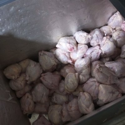 Fast1438211's profile picture. H