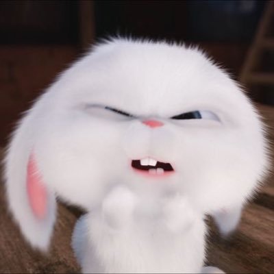 Zeniさんのプロフィール画像
