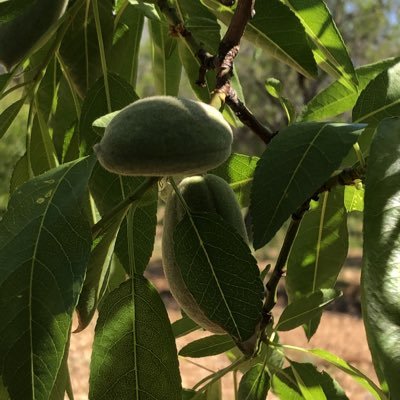 mevlutakar48's profile picture. Disiplin