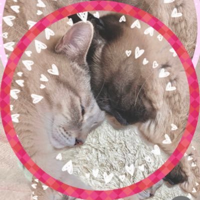 お休みしてましたが、懸賞復帰です!¦ アラサー イエベ春 ロングヘア 🐱の居る暮らし¦ 旦那はお空🌈¦旅行✈¦ Disney🏰¦グルメ𓌉𓇋 ¦乗馬🐴 ¦ 絵画🖼️¦お花🏵️¦鈴木えみ¦平野紫耀¦ 山下智久¦