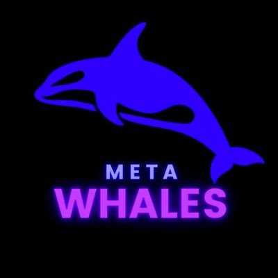 Welcome to MetaWhaleGems® Searching for the next 100x NFA DYOR Marketing Proposals DM @mkpaxreal on tg   Join: https://t.co/C0oudKzmsk