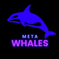 MetaWhale’s GEMS💎 (@metawhalegems) 's Twitter Profile