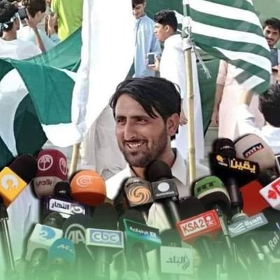 AliGull136634's profile picture. 