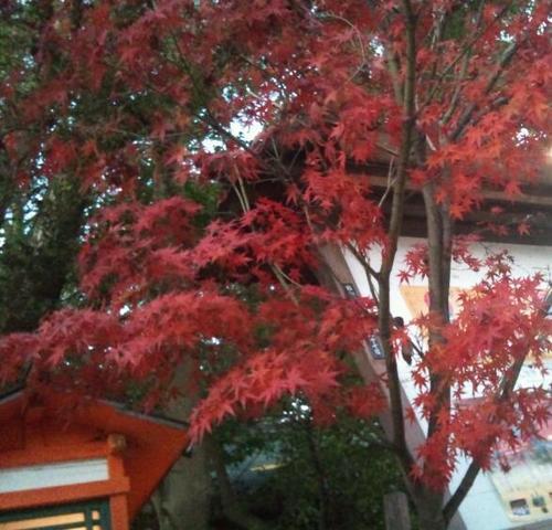 igawa73's profile picture. 