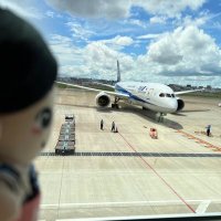 🅺 (@koinudfff) 's Twitter Profile Photo