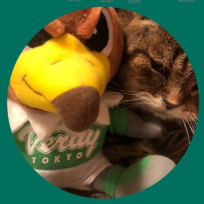 ようこgreenさんのプロフィール画像