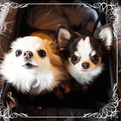 naru2_rim's profile picture. accessや貴水博之のオタク。後、アイドル好きの雑食なので、なにわ男子の長尾くん推し、Aぇ! 末澤担です。太シスは推し続け、ももクロ担降りしたのに復活しがち。アイドルやPokémon GOの話題多め。 GOは琵琶湖・青チームTL70です。アニメ・マンガ・スポーツのこともたまにつぶやきます。