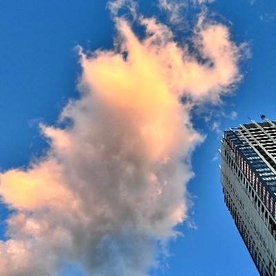 明治・商2/ 元商業高校生 全商9冠達成🎉/その他取得済み資格➡️日商珠算1級/日商簿記2級/漢検2級/英検2級 ※ほとんどリポストです。