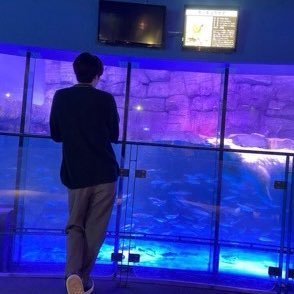 雑多垢 邦ロック|俳優|gameなどがすきです。まみモバ🐯、髭男W会員🐨 自称音ゲーマー/ラブライバー 🦐垢→ @hayasougo_luvたくさんの趣味が合う方と繋がりたいです!TL(RP)うるさいです🙏無言フォロー失礼しますm(*_ _)m