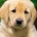 Jackie Fraley - @luv2cheer3118 - Twitter