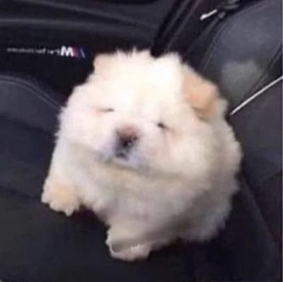 wyyjo9tt's profile picture. 🫧||| I'm potat