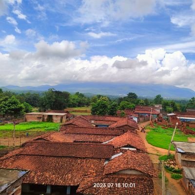 kumariP60879138's profile picture. 