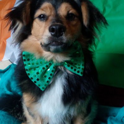 emmetburke49's profile picture. 