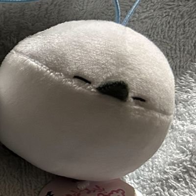 QKS80931701's profile picture. 主にQKSとDDRをプレーしています。
CN:ここちゃんorかやのん

好きな声優さんからCN付けています。
気が向いたらQKSかDDR動画アップするので良ければどーぞ⬇⬇⬇

https://t.co/4z1KNqU6gd