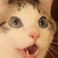 kinho_00 (@quinho_00) 's Twitter Profile Photo kinho_00 (@quinho_00) 's Twitter Profile Photo