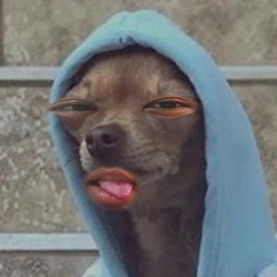 denkyyyeje's profile picture. RMT 2024 💎🧡🌙