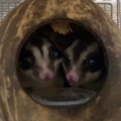 Umihotal_info's profile picture. 