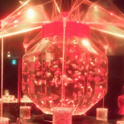 Wm6LJFz2u5p7Akv's profile picture. よろしく
大阪に住んでます

よろしくお願いします(^o^)
😀😀😀