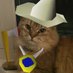 SennaScape (@catventuresenna) Twitter profile photo SennaScape (@catventuresenna) Twitter profile photo