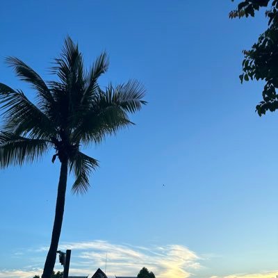 9FmYoemns5CglN1's profile picture. 🍃