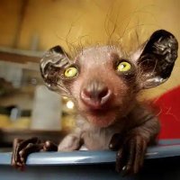 fred cooper (@fredco1948) 's Twitter Profile Photo