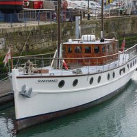 めい🚢タイタニック航海士は良いぞ (@meim04028) 's Twitter Profile Photo