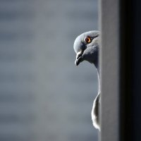 FIVRE604 (@fivre604) 's Twitter Profile Photo FIVRE604 (@fivre604) 's Twitter Profile Photo
