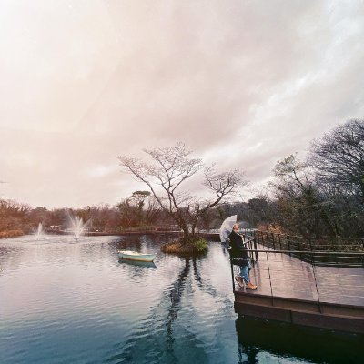 LuYong569351's profile picture. 