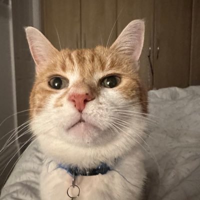 skbuk1's profile picture. 