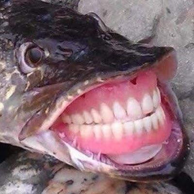 LarryOlah61231's profile picture. 