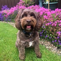 John McSweeney (@jmcsman) Twitter profile photo