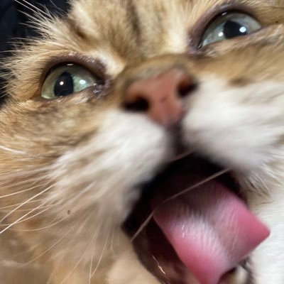 megggg_9's profile picture. 