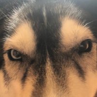 Diana (@dianatruthluv) 's Twitter Profile