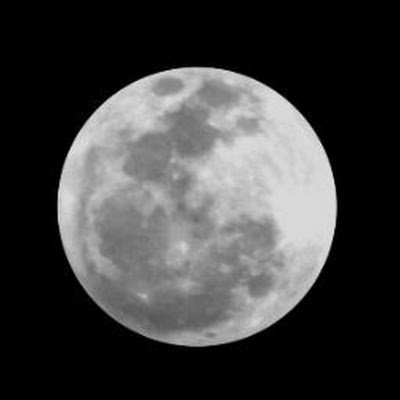 heckelkm's profile picture. 