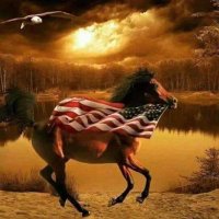 truth seeker (@sherryknot98646) 's Twitter Profile