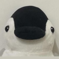iso🍆🍛 (@isisolated) 's Twitter Profile