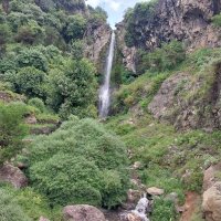 ماجد سلام (@vxppf) 's Twitter Profile
