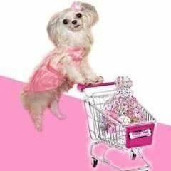 poshpetglamour's profile picture. The One Stop Shop to Spoil Your Pet!