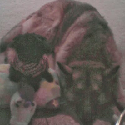 GregScott153599's profile picture. 