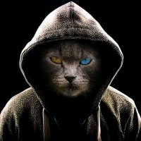 Gus daro (@gus_daro) 's Twitter Profile