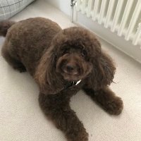Jane Enever (@janeenever87523) 's Twitter Profile Photo Jane Enever (@janeenever87523) 's Twitter Profile Photo