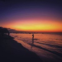ANANSII (@sylora01) 's Twitter Profile