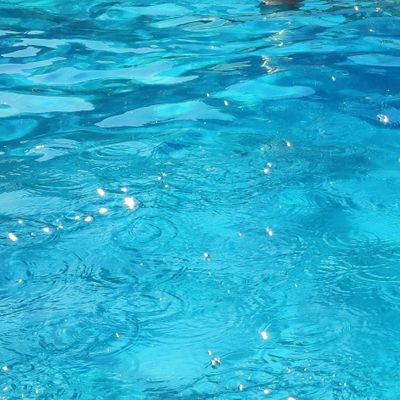 Anilad580706's profile picture. 